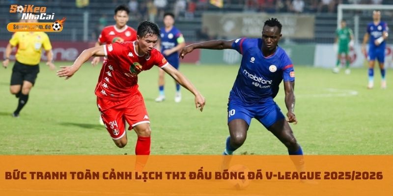 Bức tranh toàn cảnh Lịch thi đấu bóng đá V-League 2025/2026