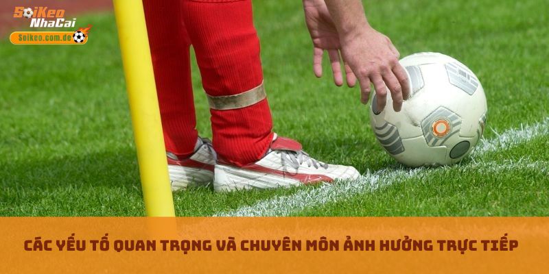 Các yếu tố quan trọng và chuyên môn ảnh hưởng trực tiếp