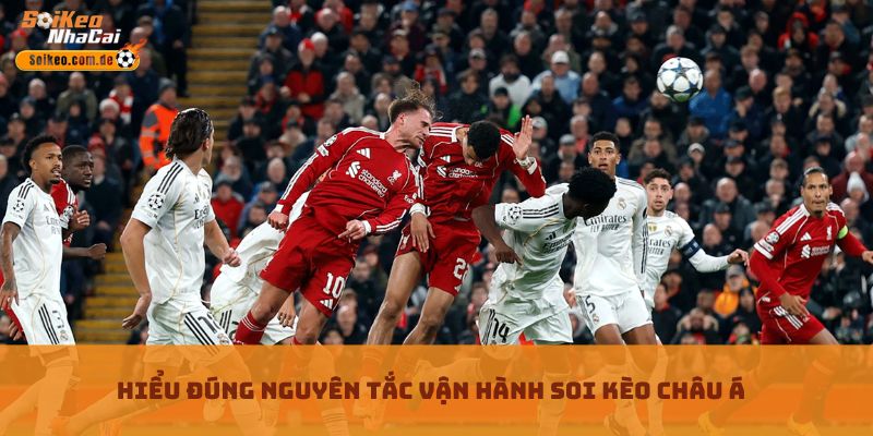 Hiểu đúng nguyên tắc vận hành Soi Kèo Châu Á